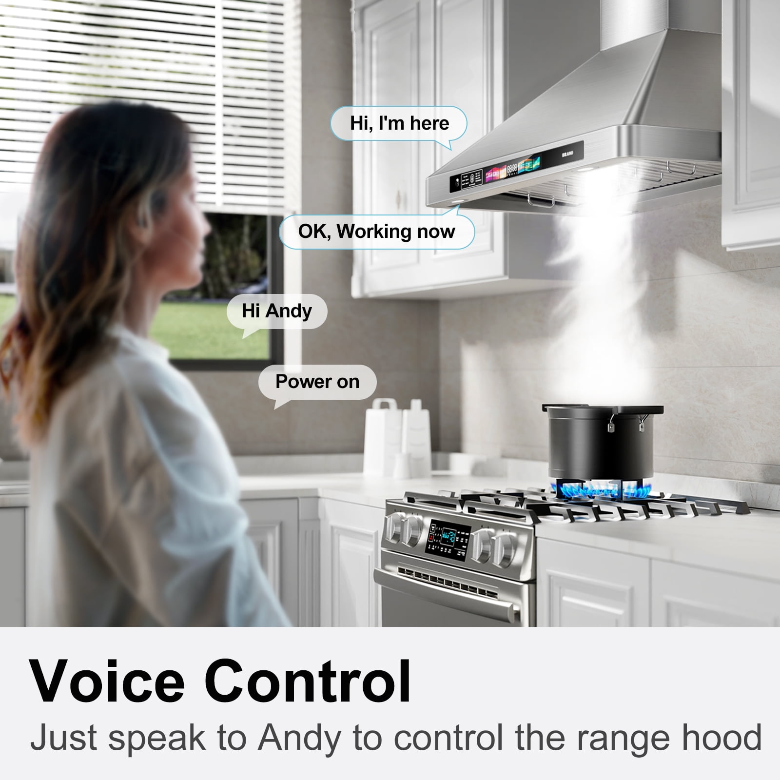 Brano 30 Inch Stainless Steel Wall Mount Range Hood, Ducted Exhaust Vent, Voice & Touchpad Control, 900 CFM