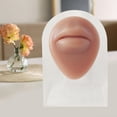 thumbnail image 3 of TISHITA Human Models Practical Silicone Modeling Delicate Texture for Exercises Office mouse with stand, 3 of 8