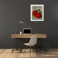 thumbnail image 3 of Vintage Apple Collection 15x18 White Modern Wood Framed Museum Art Print Titled - Livingston Tomato, 3 of 4
