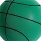 thumbnail image 2 of Baloncesto 21 Cm Tamaño 5 para Actividades en Interiores () Verde, 2 of 8