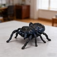 thumbnail image 6 of Realistic Interactive Toy for teen Wind Up Moving Insect Figurine for Science Education Biology Study and Outdoor Discovery Play Set, 6 of 9