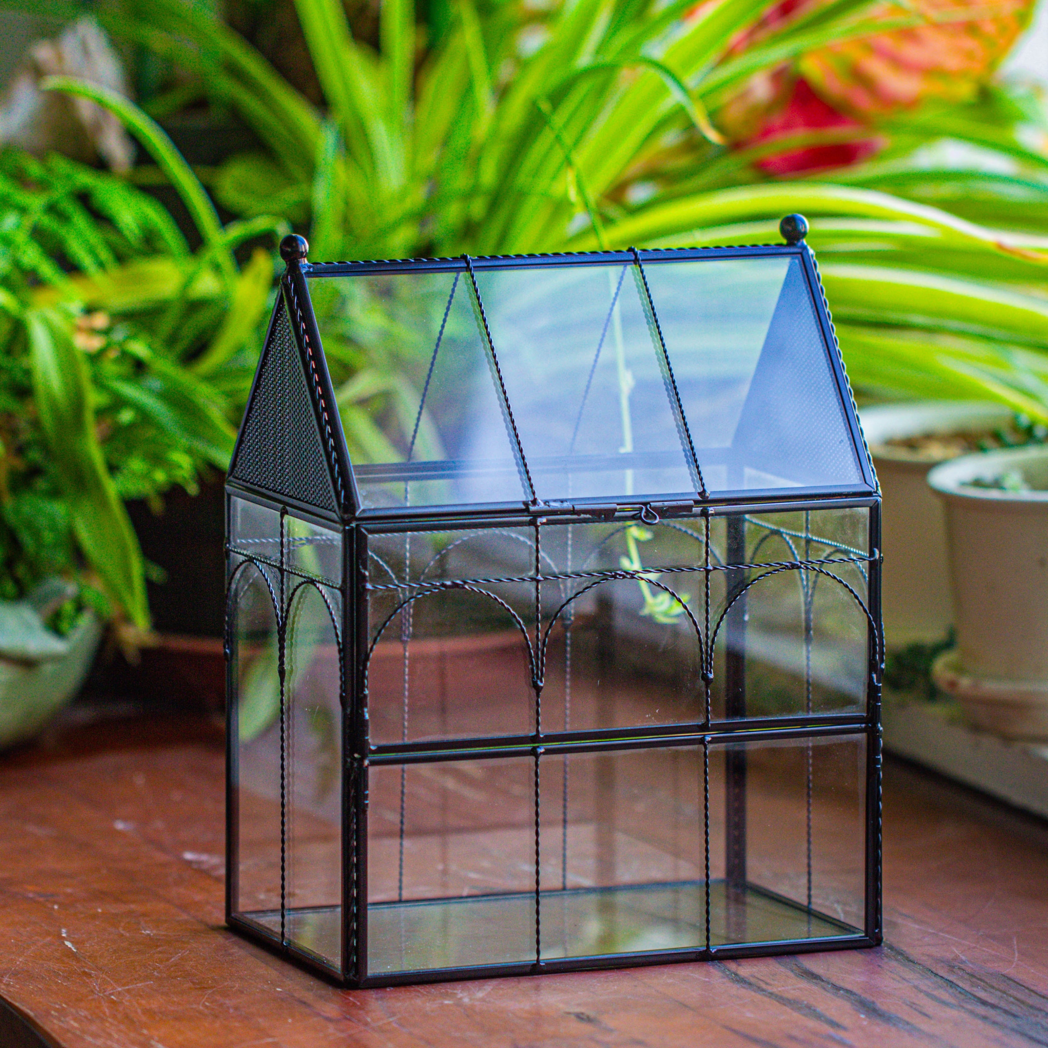 NCYP Glass Terrarium Enclosure with Vents for Insects and Spiders, Front Open