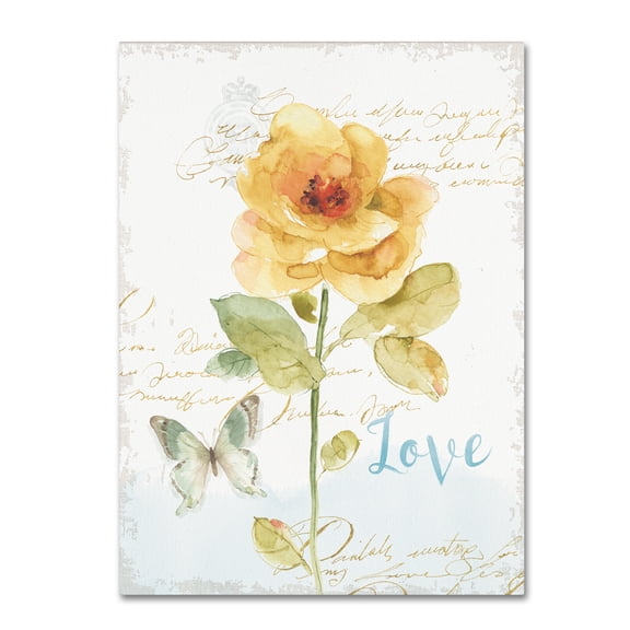 Trademark Fine Art "Rainbow Seeds Floral VIII Love" Canvas Art by Lisa Audit