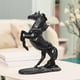 thumbnail image 5 of Estatua de caballo, escultura de caballo, escultura de animales, estatua de animales, adornos de caballos, figuras de caballos para comedor y jardín Estilo B BLESIY Estatua del caballo, 5 of 8
