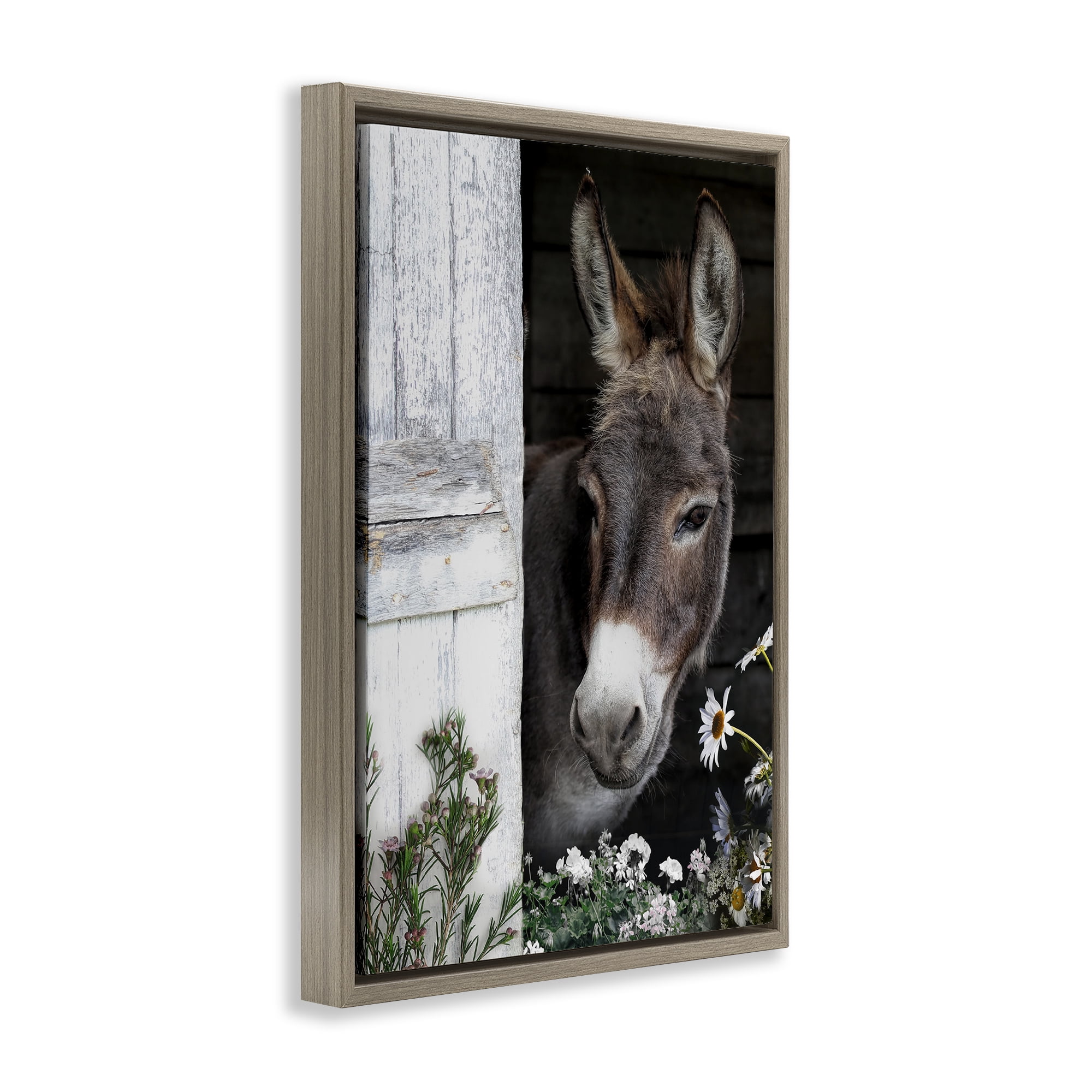 Stupell Industries Gentle Donkey Peering from Barn Brown Framed Floater Canvas Wall Art, design by CAD Designs