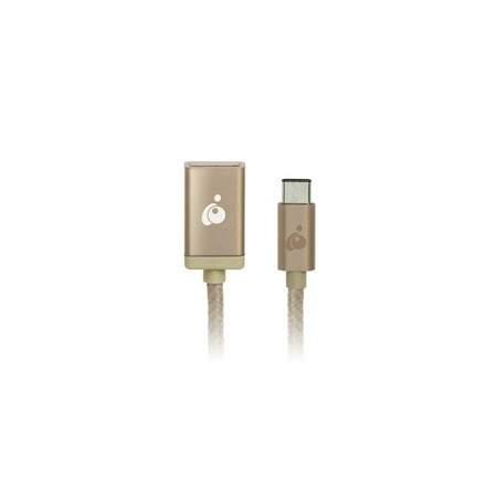 IOGear G2LU3CAF10-GLD Iogear Charge & Sync USB-C to USB Type-A Adapter - Gold - USB for Hard Drive, Flash Drive, Camera, Phone, Tablet, MacBook, Chromebook - 640 MB/s - 4; - 1