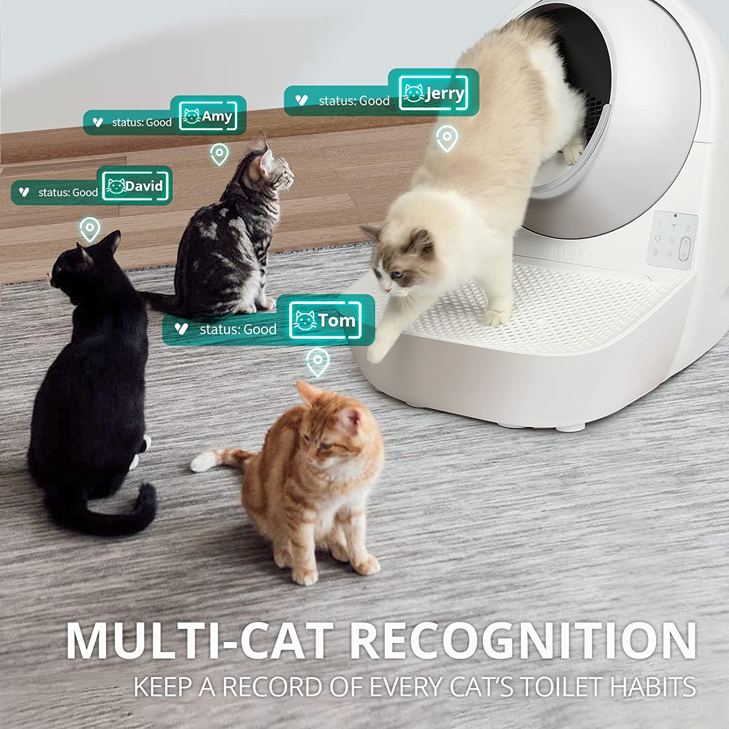 Cat Litter Box Self Cleaning, WiFi Enabled APP Remote Control for