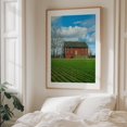 thumbnail image 5 of Red Barn, Gettysburg - Gettysburg Pennsylvania Photography Barn Farmhouse Rural Pastoral Countryside Landscape Scenic Oak Framed Wall Art Print 12 x 16 inches, 5 of 12
