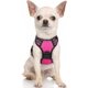 thumbnail image 1 of Rabbitgoo Arnés para Mascotas sin Tirones con 2 Clips para Correa, Acolchado Suave Ajustable, Chaleco Oxford Reflectante para Mascotas sin asfixia con asa de fácil Control para Perros Grandes, Rosa, L, 1 of 4