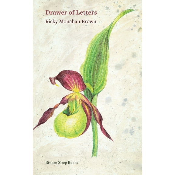 Drawer of Letters, (Paperback)