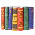 thumbnail image 2 of Juniper Books House Mashup Book Covers Only - Compatible with Hardcover Harry Potter Series | Books NOT Included, 2 of 4