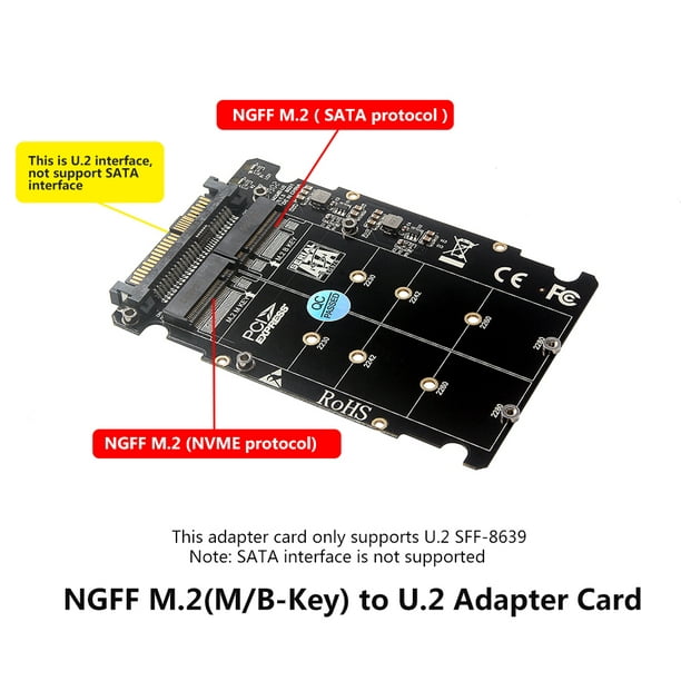 Adaptateur 2 en 1 M.2 SSD vers U.2, NVMe et SATA-Bus NGFF SDD vers