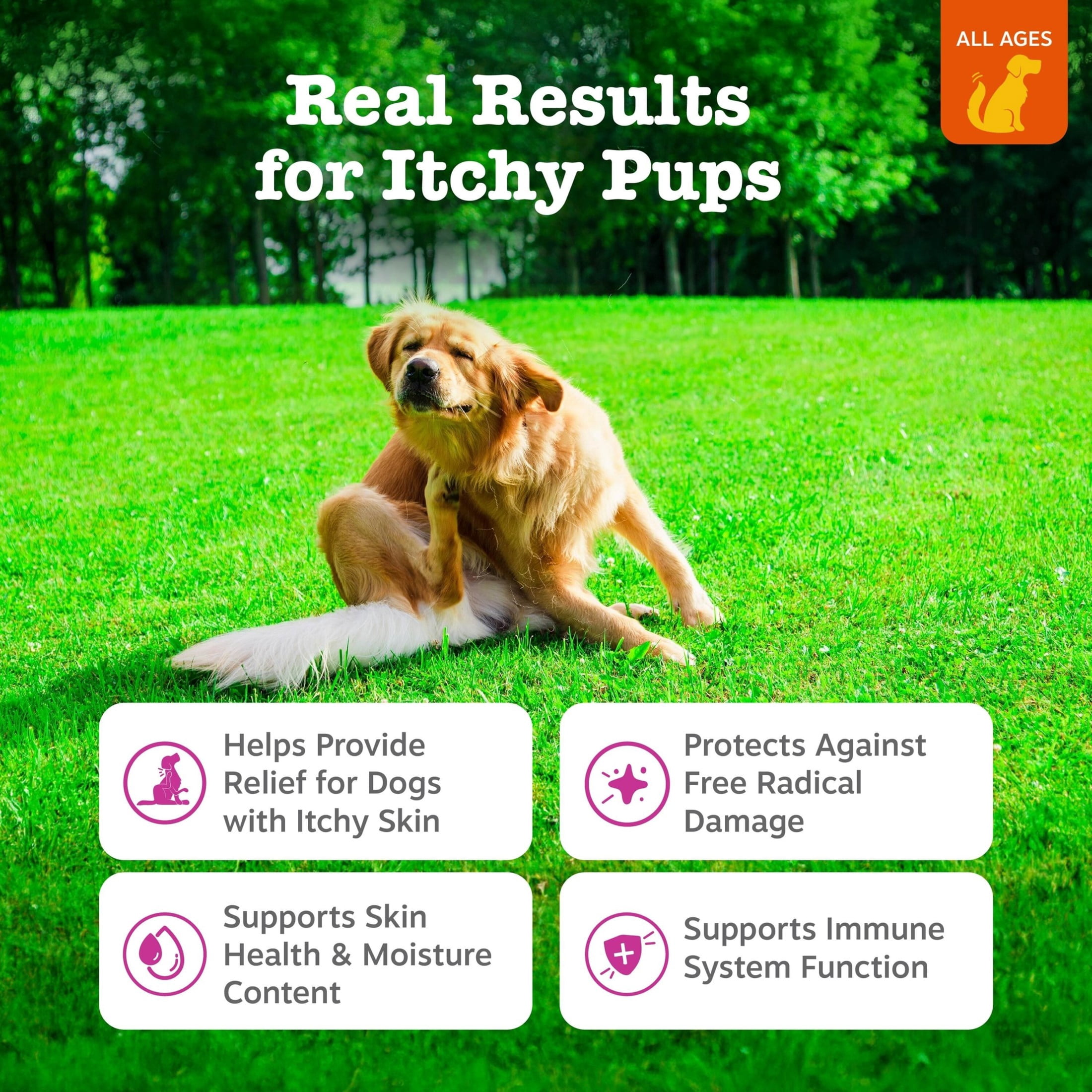 Zesty Paws Itch Relief Bites Chicken Flavor Dog Supplement, 60 Count