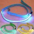 thumbnail image 4 of JANGSLNG Pet Dog Glow LED Flashing Light Nylon Safety Anti-lost Leash Lead Rope Belt, 4 of 8