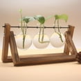 thumbnail image 3 of Wooden Frame Tabletop Vase Set Multi-Purpose Bonsai Planter Hydroponic Base Terrarium Display Containers Home Decor Centerpiece, 3 of 9