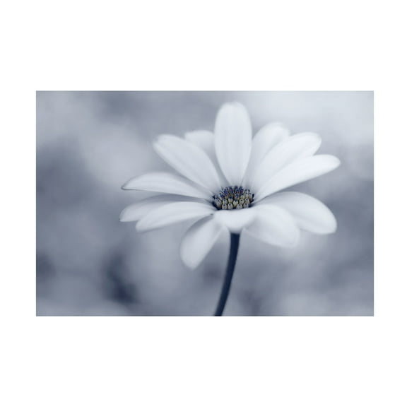 Lotte Gronkj�r 'Blue Tones' Canvas Art