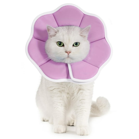 Avont Soft Cat Recovery Cone Collar, Adjustable Lightweight Kitten E-Collar for Small Dogs, Comfortable Neck Donut Stop Licking Scratching After Surgery -Purple(M)
