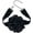 Black, variant on Vintage Rose Flower Choker Necklace for Women Gothic Black Velvet Ribbon Camellia Blossom Charm Chain Adjustable Comfort Fit Retro Wedding Holiday Costume Party Jewelry