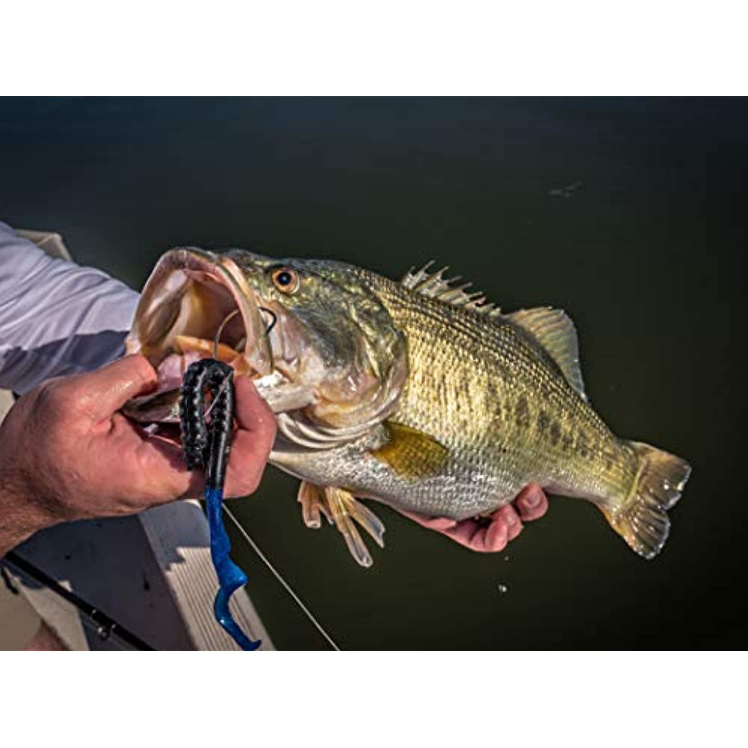 Berkley PowerBait® Power Worm Fishing Bait, Green Pumpkin, 4in