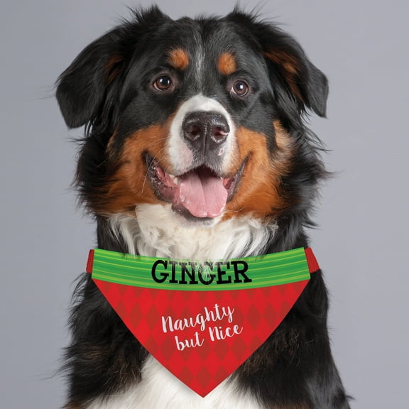 Personalized Naughty, But Nice Dog Bandana Collar Cover
