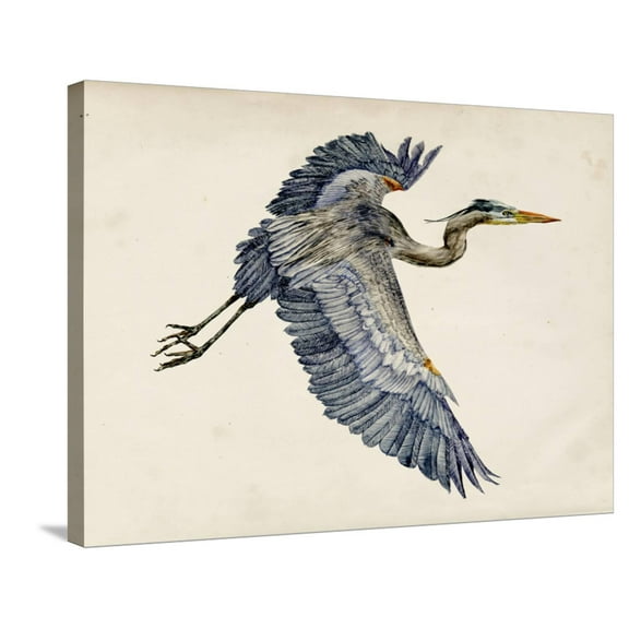 Art.com Blue Heron Rendering IV Stretched Canvas Print Wall Art by Melissa Wang, 32" x 24"