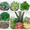 thumbnail image 5 of 5 Pack Artificial Plant, Fake Succulent, Artificial Flowers with Cement like Pots for Home Office Decoration, Green, 5 of 8