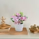 thumbnail image 5 of Flores Artificiales para la Decoración Decoración de Plantas Verdes Simuladas, Plantas en Macetas Pequeñas, Flores de Plástico, Flores Artificiales, Arreglo Floral Simulado, Bonsai, 5 of 6
