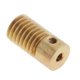 thumbnail image 5 of Eje de engranaje helicoidal de latón Baoblaze Módulo 0.5 Tornillo 151 20x10 mm, 5 of 7