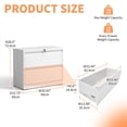 thumbnail image 2 of Lateral File Cabinet 2 Drawer, Black Filing Cabinet with Lock, Lockable File Cabinet for Home Office, Locking Metal File Cabinet for Legal/Letter/A4/F4 Size, 2 of 18