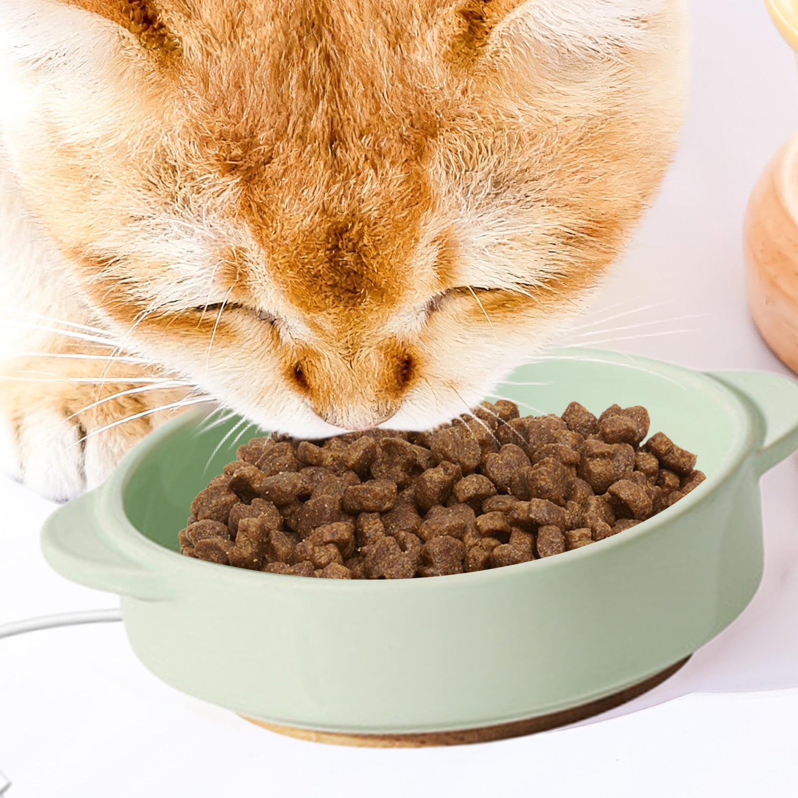 Heated Ceramic Water Bowl for Cats and Dogs, USB-Powered Constant Temperature Pet Bowl with Quiet Pump, Winter Warm Water Bowl Indoor Use