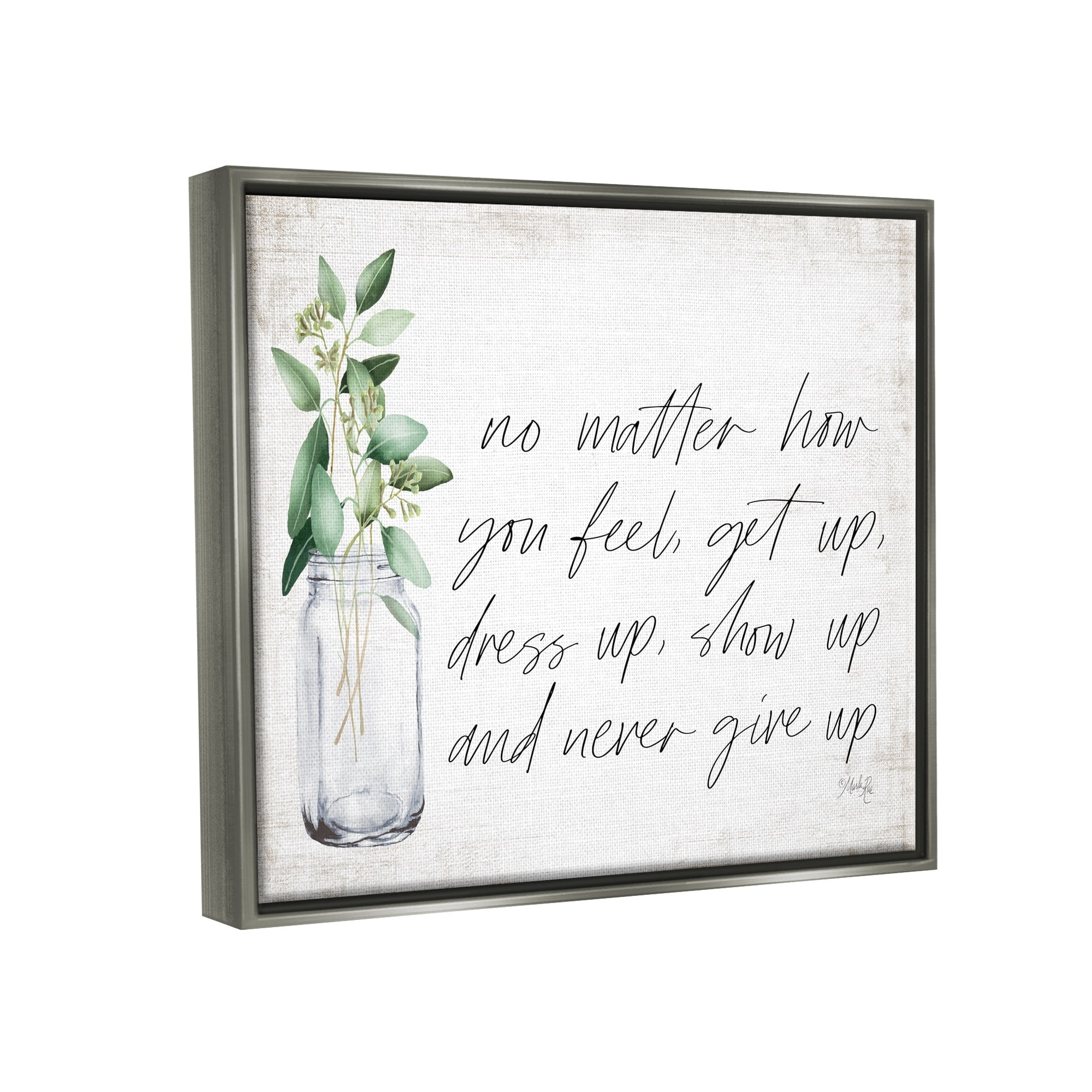 Stupell Industries No Matter How You Feel Never Give Up Inspirational Plants in Mason Jar Luster Gray Framed Floating Canvas Wall Art, 24x30, by Marla Rae