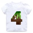 thumbnail image 3 of Camiseta con estampado de juego Mc para niños de 2 a 14 años, divertida camiseta de dibujos animados con números de cumpleaños, regalo para bebés, camisetas de algodón para niñas, 3 of 5