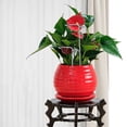 thumbnail image 3 of WASHWEPE Vine Climbing Support 8Pcs Iron Racks for Household Use and Vertical Plants, 3 of 8