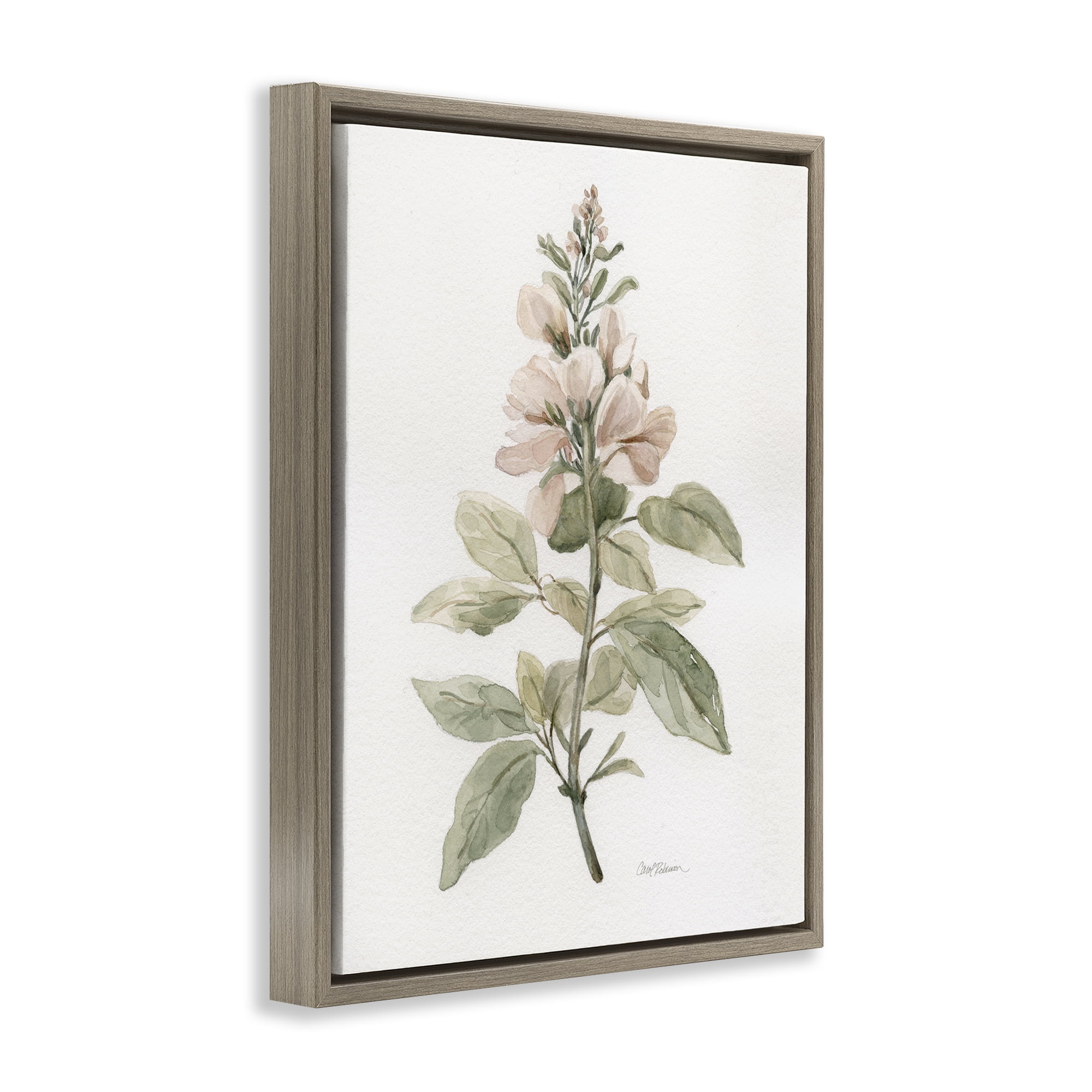 Stupell Industries Subtle Watercolor Botanicals Plants & Flowers Painting Brown Floater Framed Canvas Art Print Wall Art, 25 x 31