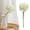 White-2, variant on ZFSBZBS Artificial Carnations Fake Flowers,Silk Flowers with Stems Large Carnation Flowers for Bridal Shower Decorations Floral Arrangements Home Decor,Pink