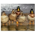 thumbnail image 1 of Bird Ceramic Tile Mural Kitchen Backsplash Bathroom Shower, 402086-XL54, 1 of 3