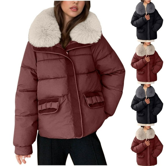 Ashirexll Womens Long Sleeve Tops Winter Tops Ladies Casual Colored Hooded Zipper Jacket Outerwear