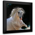 thumbnail image 1 of Harrison, Lesley 20x21 Black Modern Framed Museum Art Print Titled - Untamed, 1 of 5