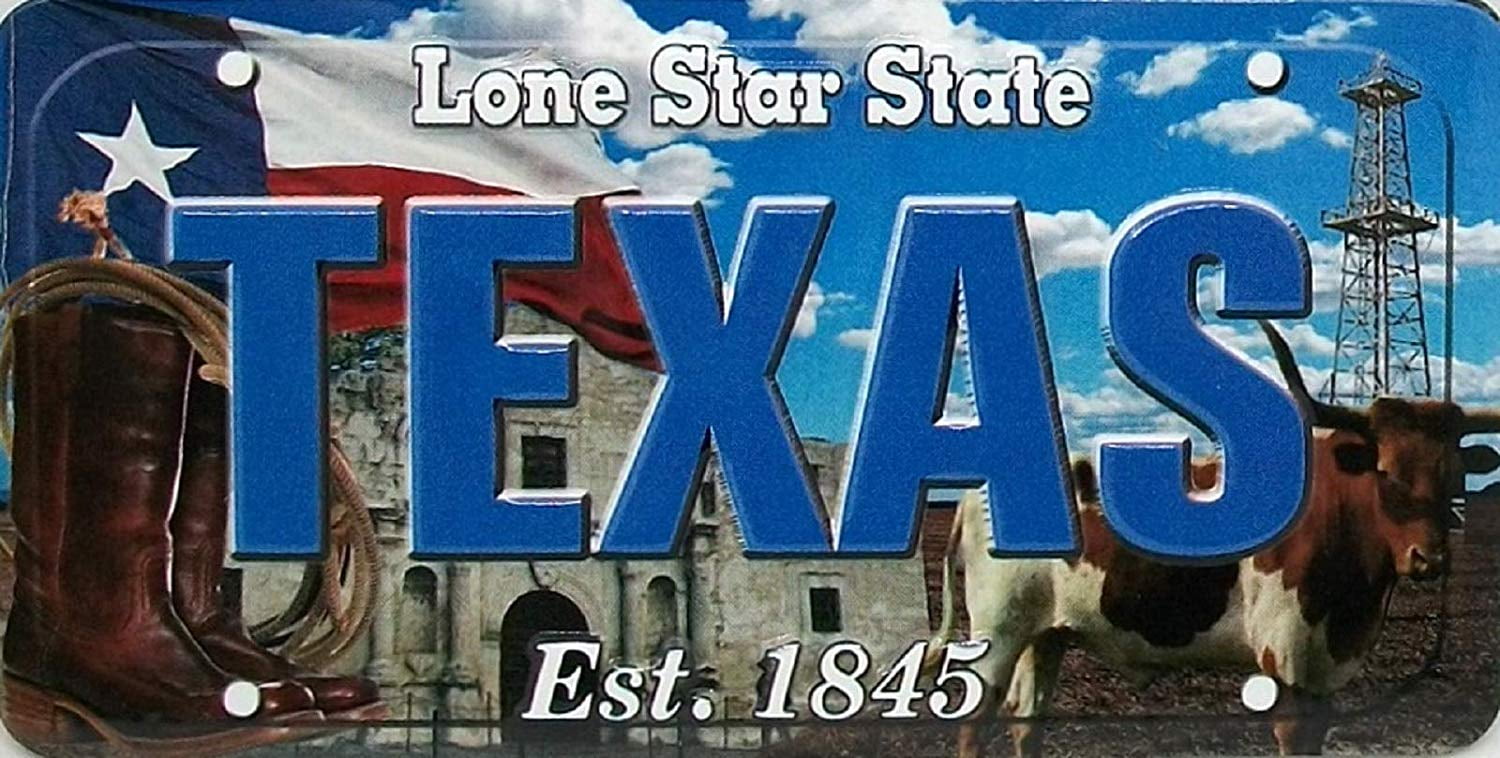 Texas The Lone Star State License Plate Souvenir Fridge