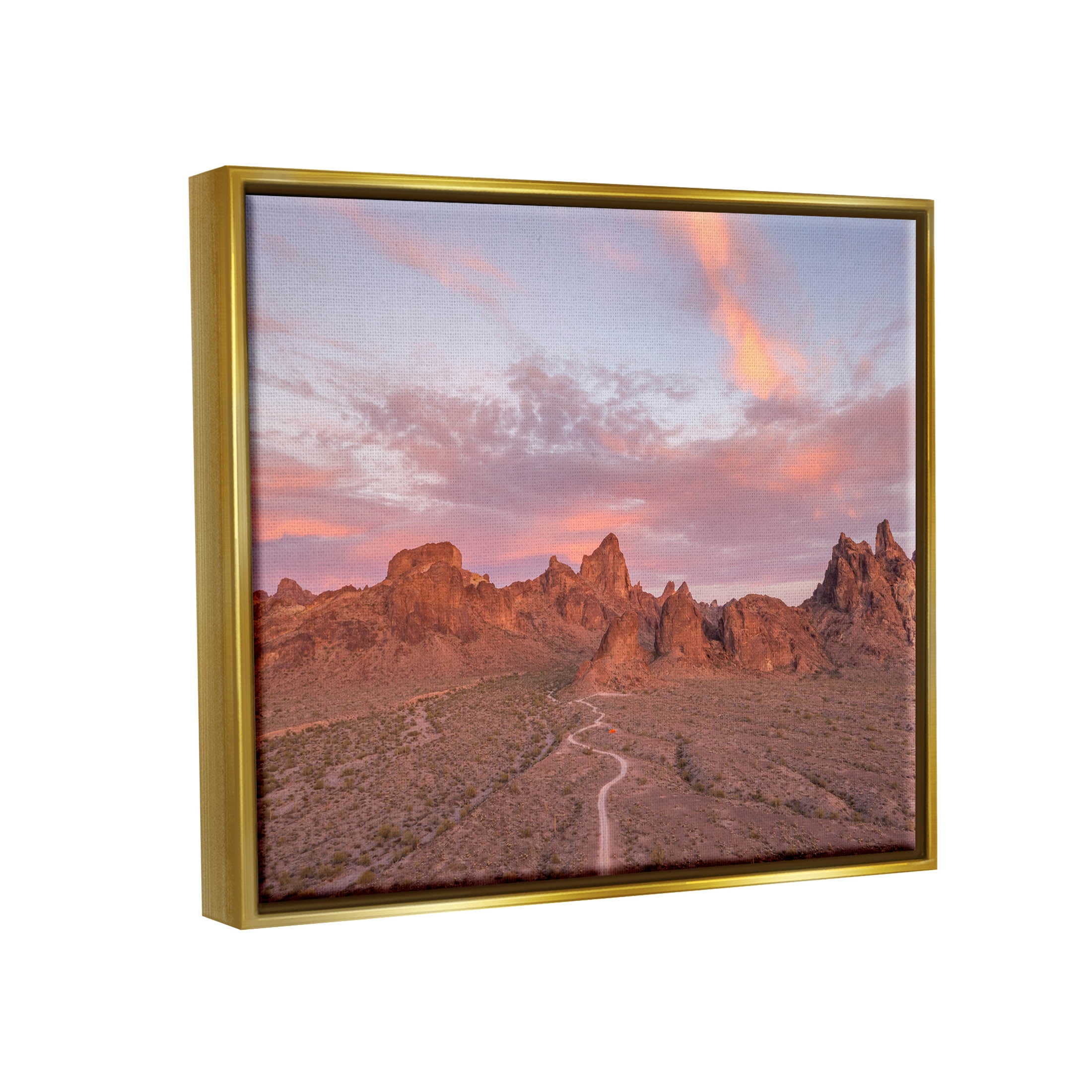 Vast Canyon Road Desert Scene Landscape Photograph Metallic Gold Framed Art Print Wall Art