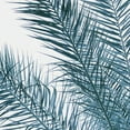 thumbnail image 2 of Palm Fresh by Irene Suchocki Palm Tree Photo Canvas Art, 2 of 2