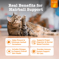 thumbnail image 3 of Zesty Paws Hairball Bites for Cats, to Prevent & Minimize Hairball Formation, Bacon 60ct, 3 of 13