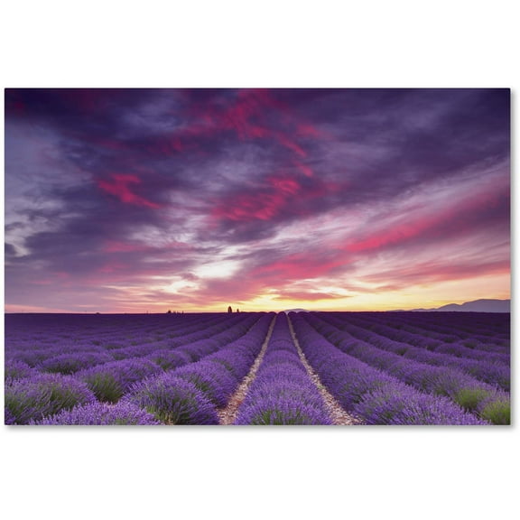 Trademark Fine Art 'Pink and Purple' Canvas Art by Michael Blanchette Photography