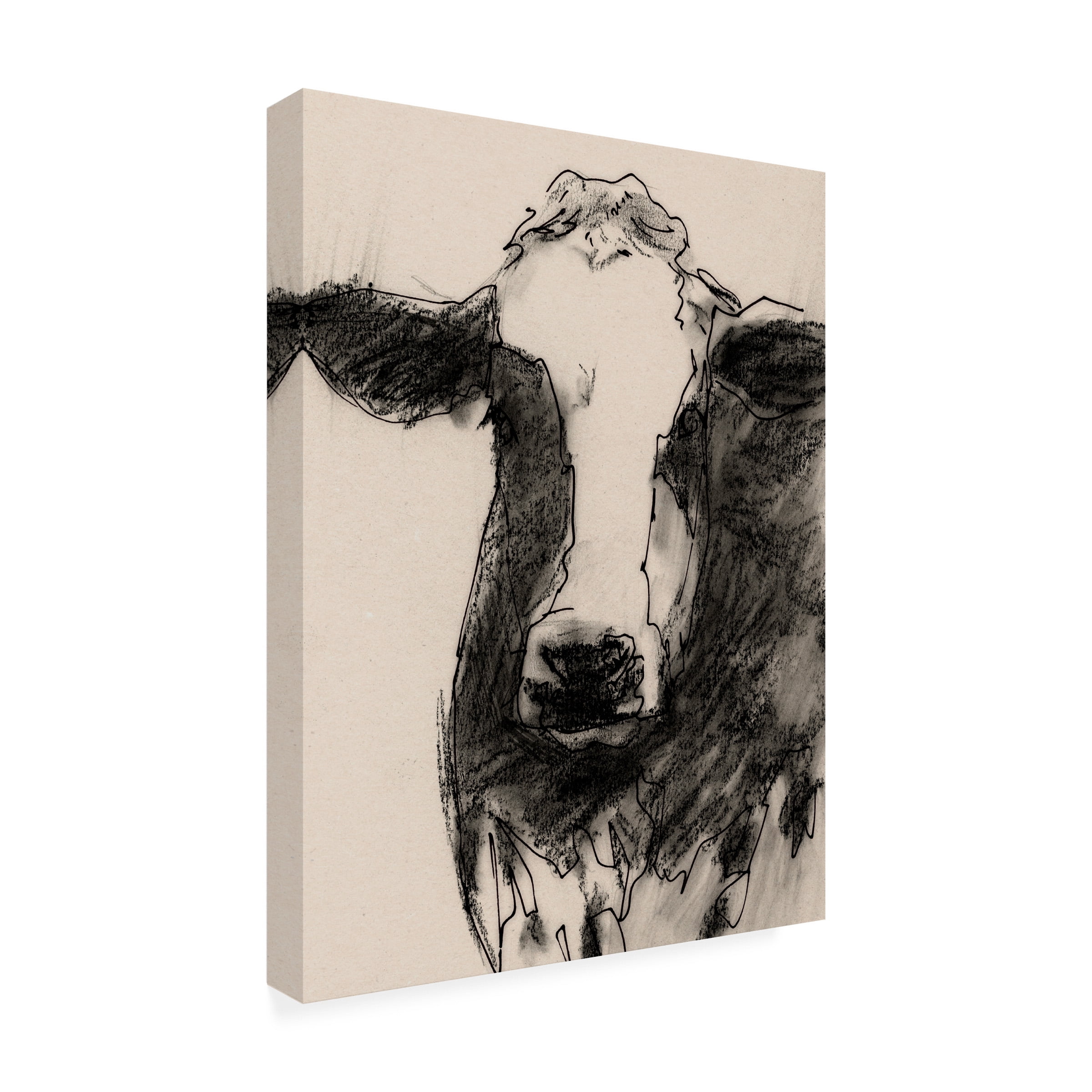Victoria Barnes 'Cow Portrait Sketch II' Canvas Art
