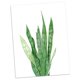 thumbnail image 3 of Acuare Hojas De Impresión De De Pintura Lona trifasciata-leaf M Gloria Pintura al óleo moderna de la lona, 3 of 7