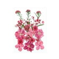 thumbnail image 4 of Flores prensadas secas Strade Fareast Limited Material de fabricación DIY Rosa rojo, 4 of 8
