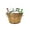 Gold, variant on 8L Ice Bucket for Parties:Galvanized Tub Beer Drink Cooling Bucket,Champagne Bucket Suitable for Parties, Picnics, Camping Wedding,Ice Bucket for Cocktail Bar,Galvanized Bucket for Freezer (Gold)