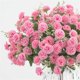 thumbnail image 3 of Ramio de boda de San Valentín, 20 flores artificiales Xiangshao, flores de hortensia, clavel rosa de seda artificial, 3 of 3