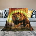 thumbnail image 2 of HENGT Lion Blanket Super Soft Cozy Lion Animal Throw Blanket Lightweight Plush African Wildlife Bedding Blanket for Gifts Men Women Kids Girls Boys Bed Decor, 2 of 6