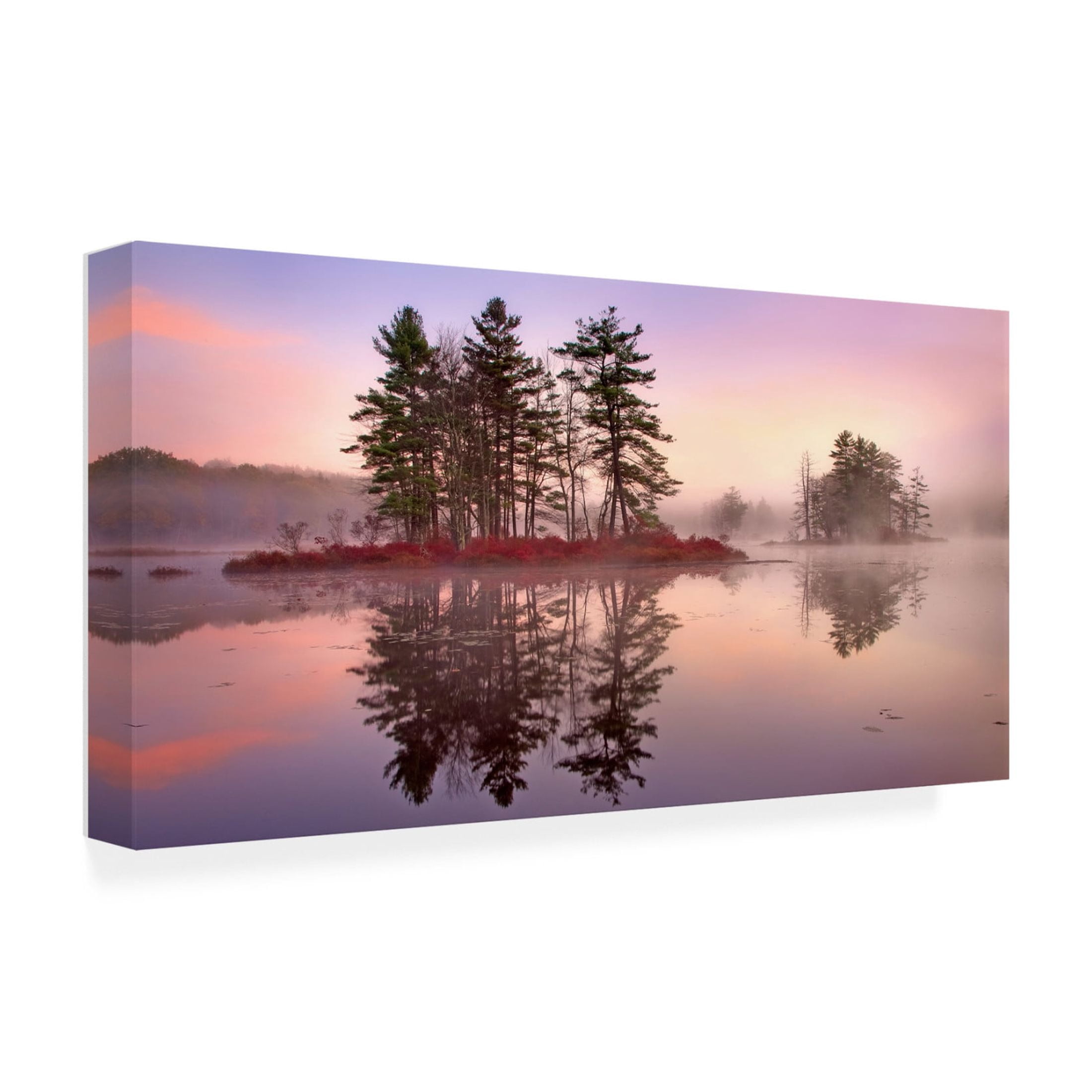 Canvas Wall Art - Patrick Zephyr 'Islands in The Pink' Wall Art for Living Room, Bedroom, or Office Décor by Trademark Fine Art - 47 x 24 Inches